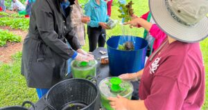 Cover photo for Produce Safety Training for Small Farms and Homesteads