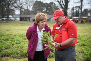 Cover photo for Extension Announces 2024 Summer Internship Program