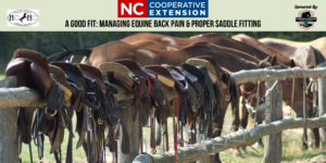 Cover photo for Equine Educational Program