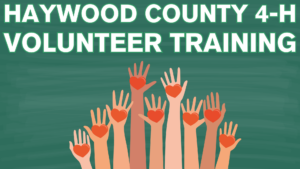 Haywood County 4-H Volunteer Training in white with hands of different skin tones raised holding red hearts. On green streaky background