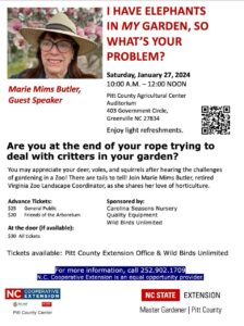 Cover photo for I Have Elephants in My Backyard, So What's Your Problem?