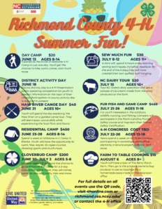 Cover photo for 2024 4-H Summer Fun