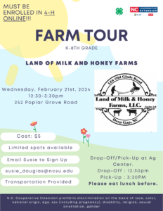 pretty flyer for event