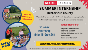 Cover photo for Summer Internship Program