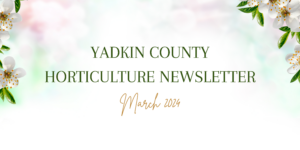 March Newsletter Banner