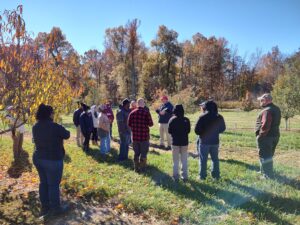 Pruning Workshop