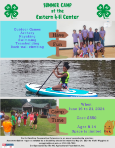 Summer Camp Flyer