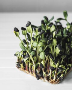 Micro-greens