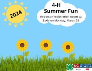 Cover photo for Rowan 4-H Summer Fun 2024