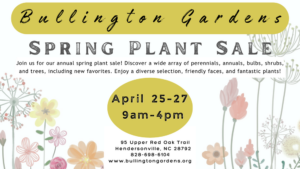 Cover photo for Bullington Gardens Spring Plant Sale Offers Classics Plus New Varieties
