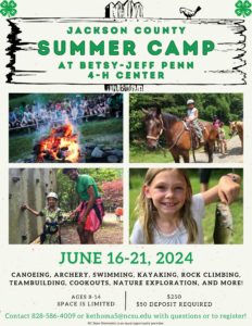 Betsy-Jeff Penn 4-H camp
