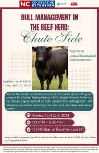 Bull management Flyer