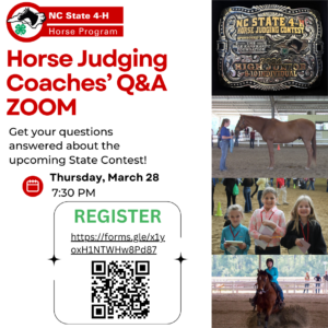 Cover photo for Horse Judging Coaches' Q & a Zoom