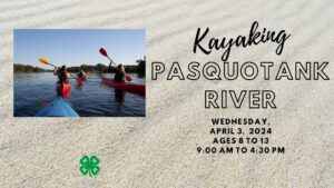 People kayaking on a river