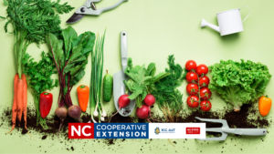 Organic Gardening