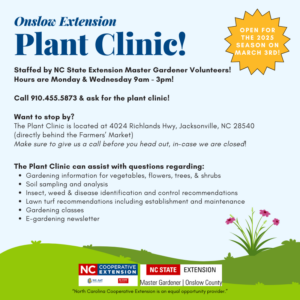 Plant clinic infographic, features a lawn with flowers. Text on graphic is mentioned in article.