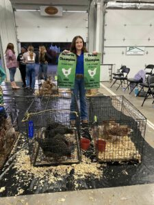 Cover photo for 2024 Four County Poultry Show and Sale