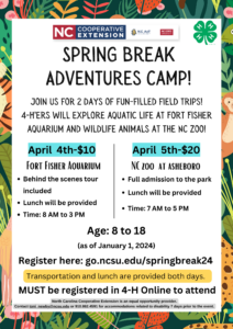 Adventure Camp Flyer
