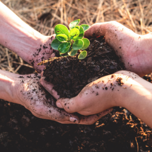 Cover photo for Nominate an Outstanding Volunteer or 4-H Member!