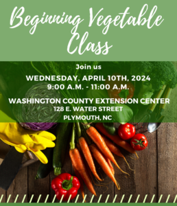 Fresh cut garden vegetables on a green flyer