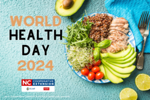Cover photo for World Health Day 2024