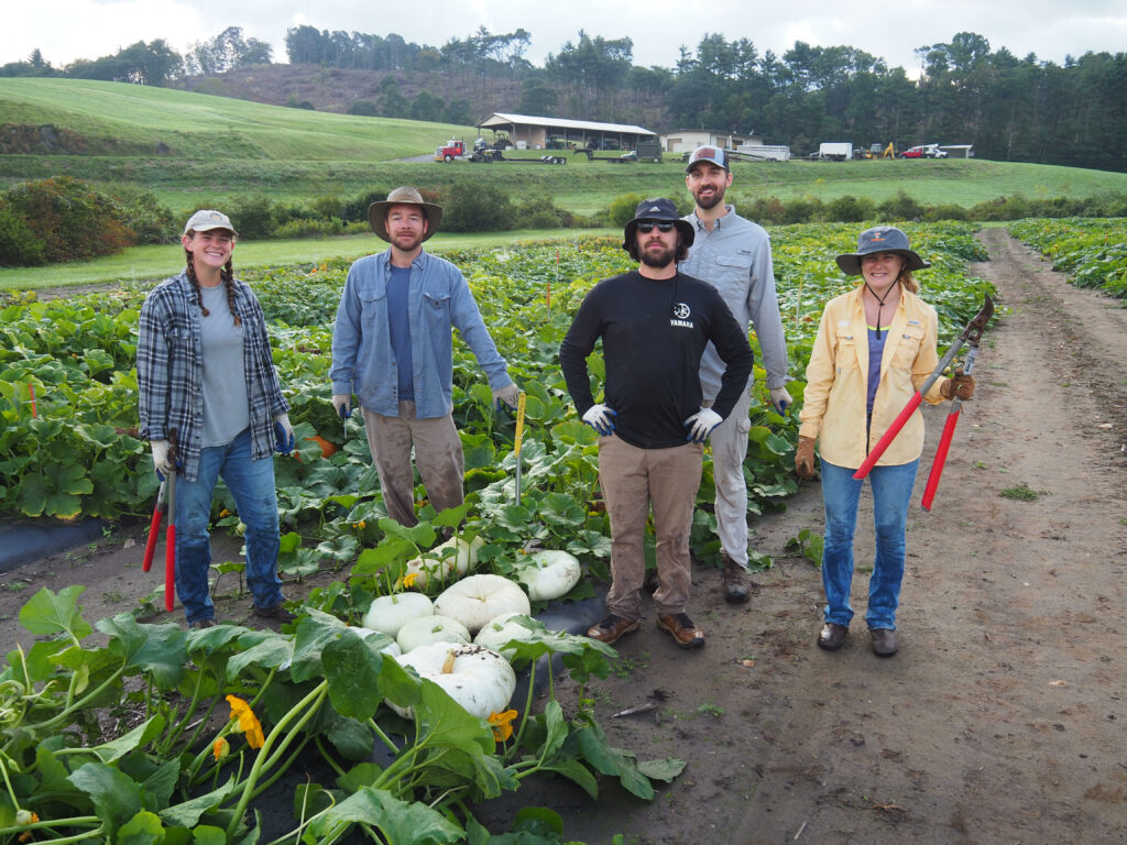 researchers in the pumpkin plots