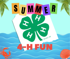 Cover photo for 2025 Summer 4-H Fun Registration Is Now Open