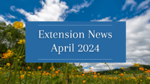 April 2024 Newsletter