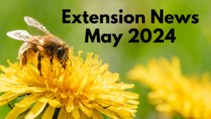 May 2024 Newsletter