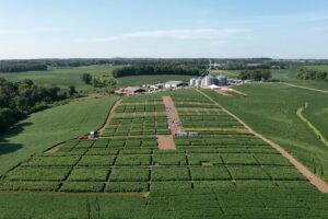 Cover photo for Delaying Launch of Dynamic Soybean Decision Support Tool