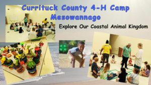 Kids at day camp for 4-H