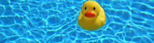 rubber duck in pool