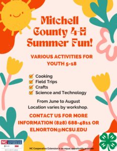 Cover photo for 4-H Summer Fun