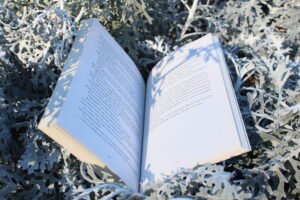 Book open in the garden