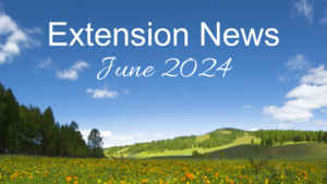 June 2024 Newsletter