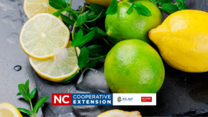 grow lemons and limes