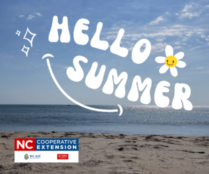 Cover photo for School's Out (Almost)...Now What?