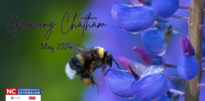 Growing Chatham 2024