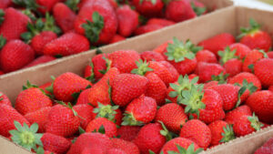 Strawberries