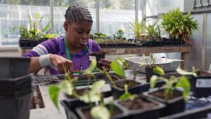 Therapeutic horticulture gardening benefits NC State Extension New Hanover County
