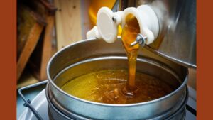 Honey being extracted