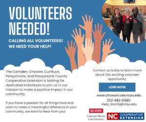 Cover photo for We Need Foodie Volunteers