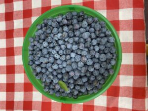 blueberry jam