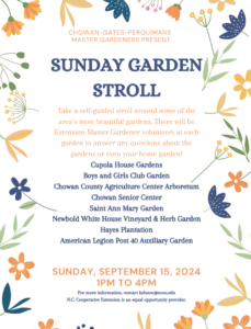 Cover photo for Sunday Walk in the Garden: September 15
