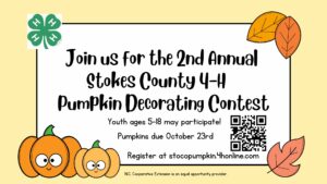 Cover photo for 2nd Annual Stokes County 4-H Pumpkin Decorating Contest