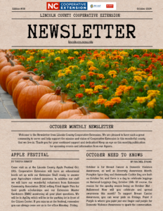 Page 1 of October 2024 Newsletter