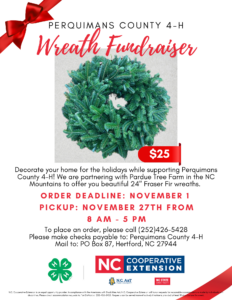 Perquimans County 4-H Wreath Fundraiser Flyer The flyer promotes a wreath fundraiser for Perquimans County 4-H. It features a photo of a green Fraser Fir wreath with a red price tag that says "$25". At the top, "Perquimans County 4-H Wreath Fundraiser" is written in bold red and black text, with a red bow graphic in the upper left corner. Details include: "Decorate your home for the holidays while supporting Perquimans County 4-H! We are partnering with Pardue Tree Farm in the NC Mountains to offer you beautiful 24'' Fraser Fir wreaths." Order Deadline: November 1 Pickup: November 27th from 8 AM - 5 PM at the Perquimans County Extension Office. Instructions to place an order by calling (252) 426-5428, with payment by check to "Perquimans County 4-H", and mail checks to PO Box 87, Hertford, NC 27944. The logos of NC Cooperative Extension, NC A&T, and NC State University are displayed at the bottom. The flyer includes an equal opportunity provider disclaimer at the very bottom.