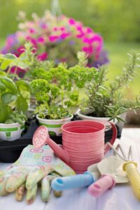 Cover photo for Extension Gardening Series