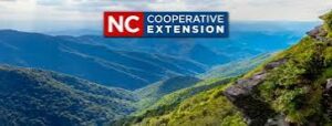 Cover photo for Hurricane Helene Buncombe County CES Staff Update