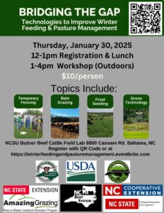 Cover photo for Bridging the Gap